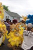 resIMG_20170402_131104_7265.JPG